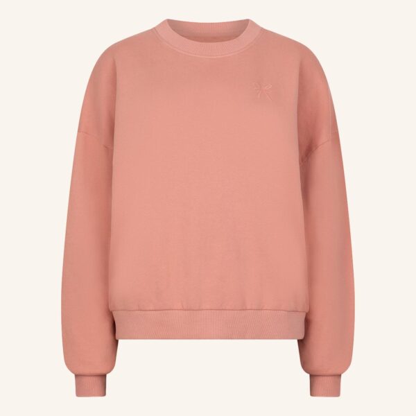 Navy's sweater rose dawn - Woman